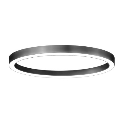 Декоративный светильник HOLE-RING-P-1200-88 Декоративный светильник HOLE-RING-P-1200-88